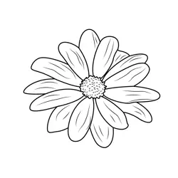 Close Up Daisy Flower Free Coloring Page for Kids