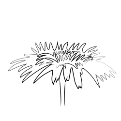 Daisy Flower 1 Free Coloring Page for Kids