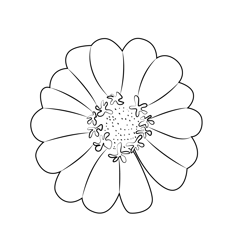 Lovely African Daisy Free Coloring Page for Kids