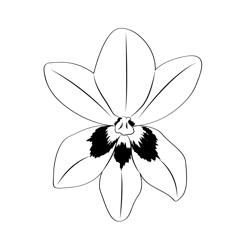 Freesia Flower Free Coloring Page for Kids