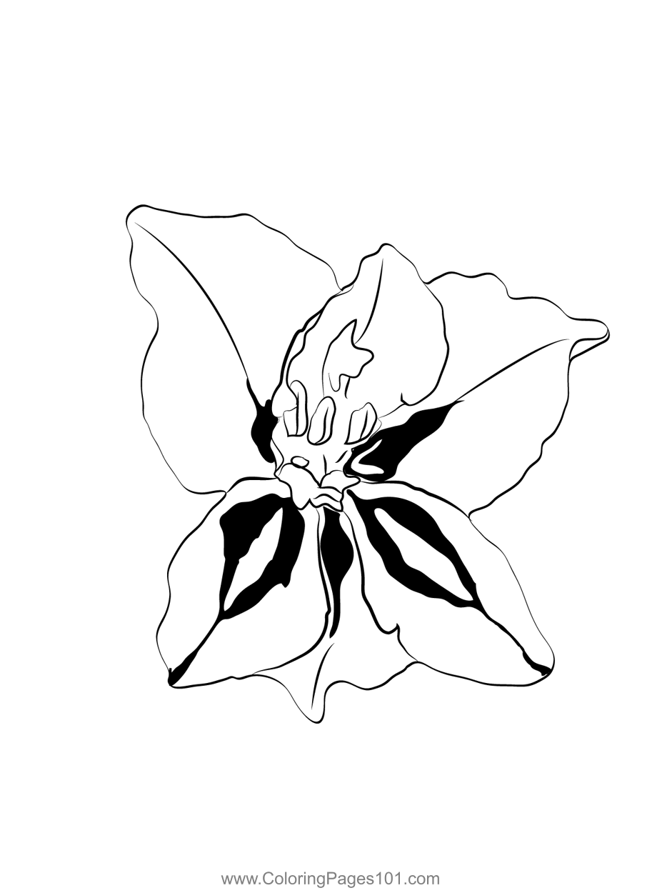 Gladiolus Flower Coloring Page for Kids - Free Gladiolus Printable ...