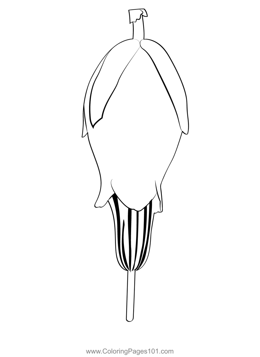 Heather Coloring Page for Kids Free Heathers Printable Coloring Pages