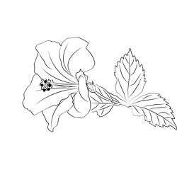 Hibiscus Free Coloring Page for Kids