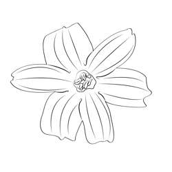 Hyacinth 1 Free Coloring Page for Kids