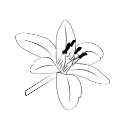 Jasmine Free Coloring Page for Kids