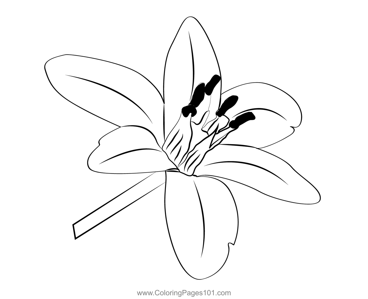 Jasmine Coloring Page for Kids Free Jasmine Printable Coloring Pages Online for Kids