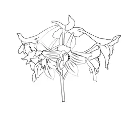 Delphinium Flower Free Coloring Page for Kids