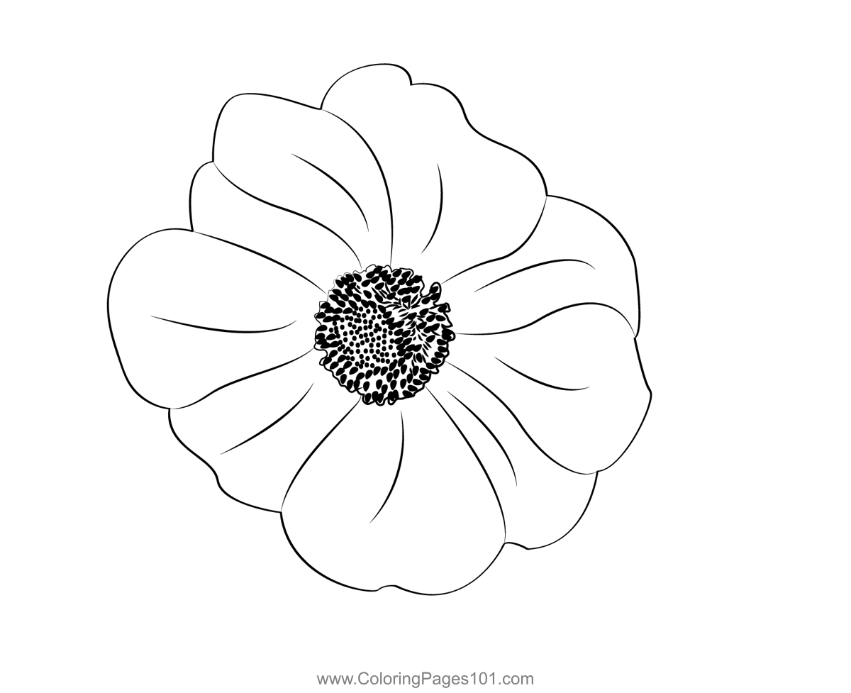 Lilac Flower Coloring Page for Kids Free Lilacs Printable Coloring