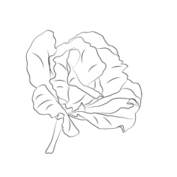 Lisianthus F2 Free Coloring Page for Kids