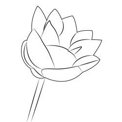 Simple Lotus Free Coloring Page for Kids