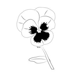 Pansy 1 Free Coloring Page for Kids