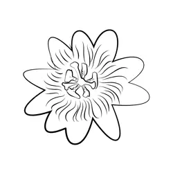 Beautiful Passion Flower Free Coloring Page for Kids