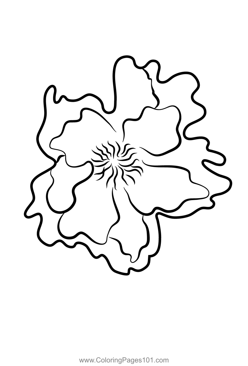 Peony Flower Coloring Page for Kids - Free Peony Printable Coloring
