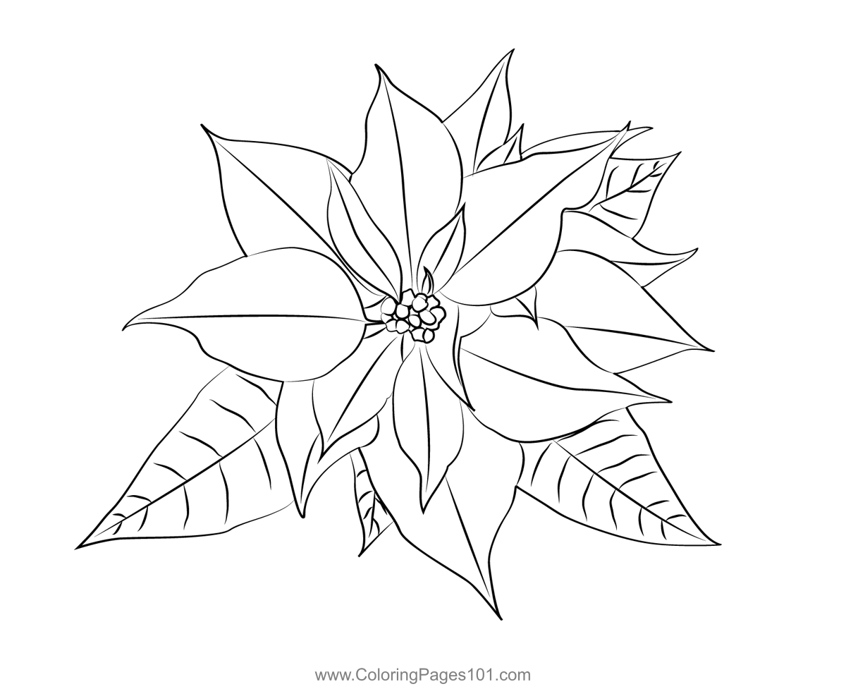 Poinsettia 1 Coloring Page for Kids - Free Poinsettias Printable