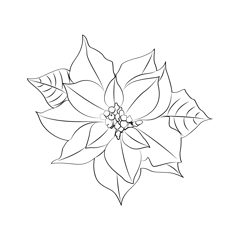 Poinsettia Flower Free Coloring Page for Kids