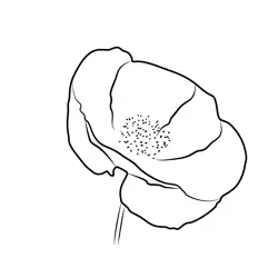 Poppy Flower Free Coloring Page for Kids