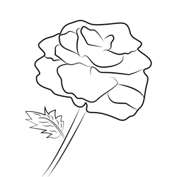 Colorful Rose Free Coloring Page for Kids