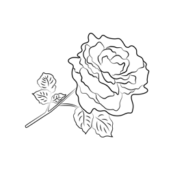 Fresh Rose With Leaf Free Coloring Page for Kids
