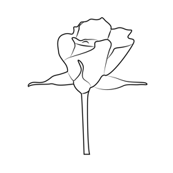 Fresh Rose Free Coloring Page for Kids