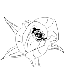 Petite Rose F2 Free Coloring Page for Kids