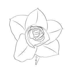 Petite Rose Free Coloring Page for Kids