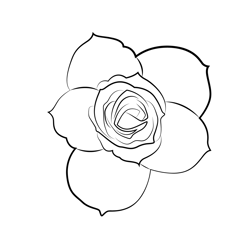 Rose 1 Free Coloring Page for Kids