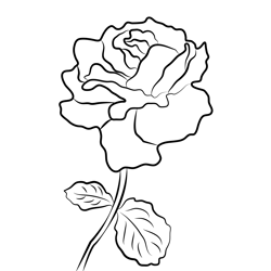 Rose Close Up Free Coloring Page for Kids