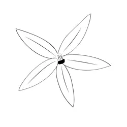 Star Of Bethlehem Flower Free Coloring Page for Kids