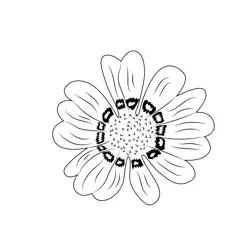 Beautiful Sunflower Free Coloring Page for Kids