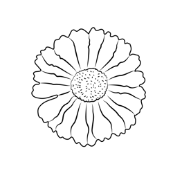 Beautifull Sun Flower Free Coloring Page for Kids