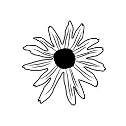 Close Up Sunflower 1