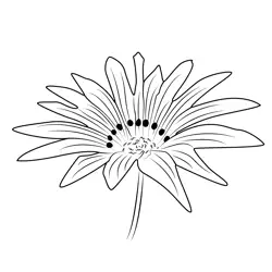 Fresh Sun Flower Free Coloring Page for Kids
