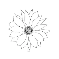 Small Sunflower Free Coloring Page for Kids