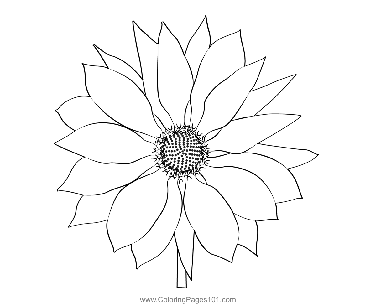 Small Sunflower Coloring Page for Kids - Free Sunflowers Printable