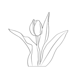 Tulip 2 Free Coloring Page for Kids