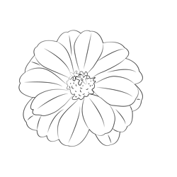 Zinnia Flower Free Coloring Page for Kids