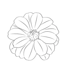 Zinnia Flower Free Coloring Page for Kids