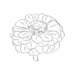 Zinnia Free Coloring Page for Kids
