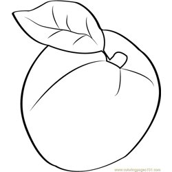 Apricot Free Coloring Page for Kids