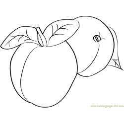 Apricots Free Coloring Page for Kids