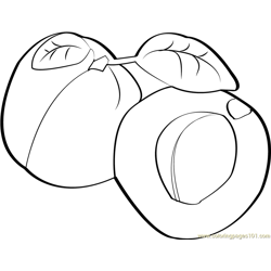 Half Apricot Free Coloring Page for Kids