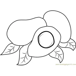 Avocados with Leaf Free Coloring Page for Kids