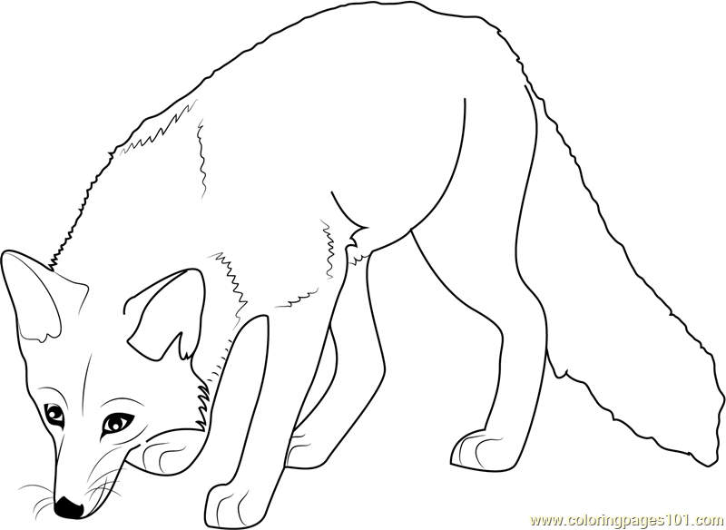 Hunting Fox Coloring Page for Kids   Free Fox Printable ...