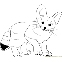 Fennec Fox Free Coloring Page for Kids