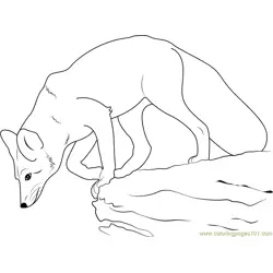 Fox Jumps on Rock Free Coloring Page for Kids