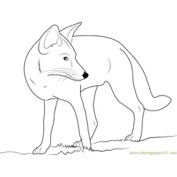 Fox Looking Back Free Coloring Page for Kids