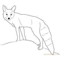 Fox Free Coloring Page for Kids