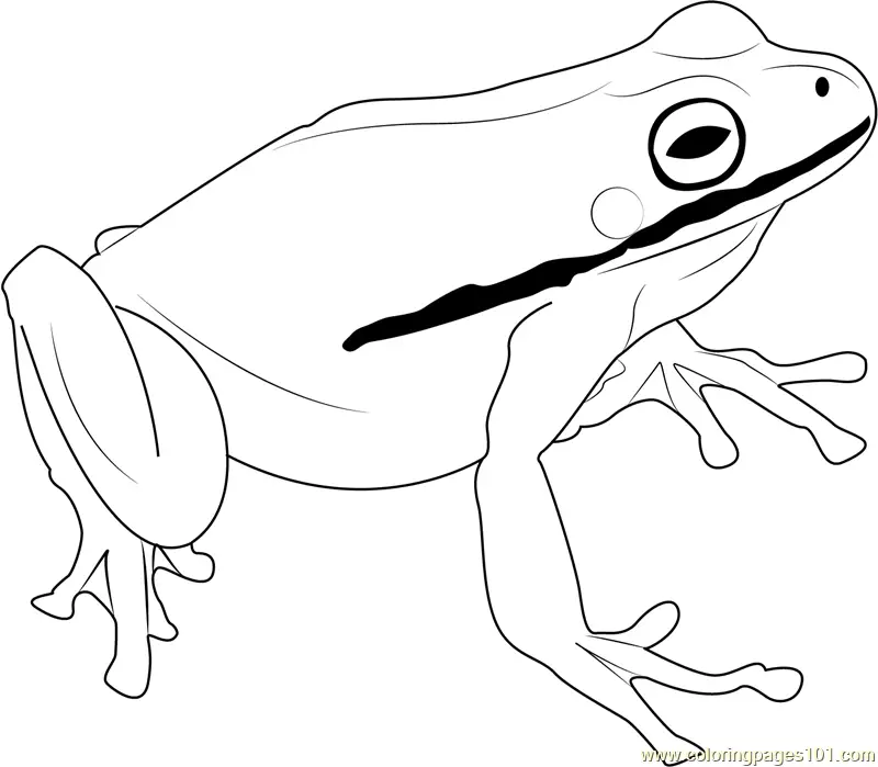 Green Frog Coloring Page for Kids - Free Frog Printable Coloring Pages