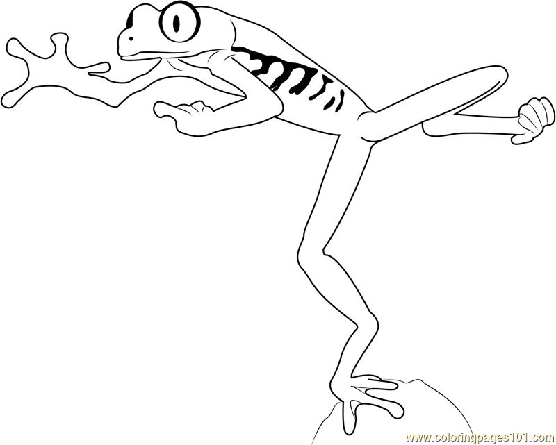 realistic-tree-frog-coloring-pages