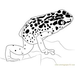 Blue Poison Dart Frog Free Coloring Page for Kids